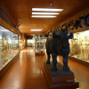 musee-africain-de-l-ile-d-aix ile-d-aix