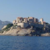 calvi