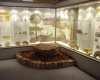 museum-d-histoire-naturelle autun