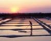 marais-salants-de-guerande guerande
