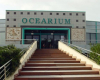 ocearium-du-croisic le-croisic