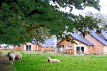 la-ferme-pillet berville