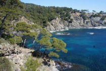 l-eden-de-la-presqu-ile giens