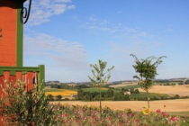 domaine-des-cadets-de-gascogne pauilhac