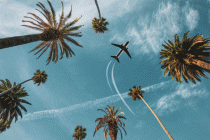 comment-organiser-un-voyage