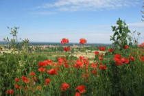 rabastens-de-bigorre