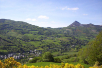 saint-jacques-des-blats