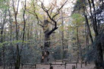 saint-mars-la-jaille