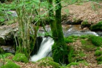 saint-yrieix-le-dejalat