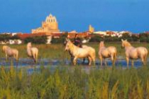 saintes-maries-de-la-mer