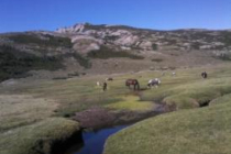 santo-pietro-di-venaco