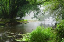 verrieres-le-buisson