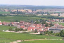 vosne-romanee