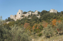 le-chateau-d-allegre allegre-les-fumades