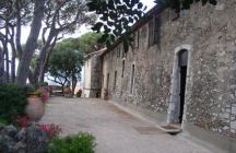 musee-de-la-castre cannes