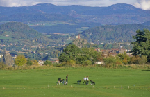 golf-du-puy-en-velay ceyssac