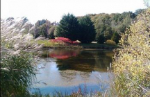 parc-arboretum-de-chamberet chamberet