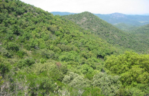 decouvrir-a-velo-la-boucle-des-maures collobrieres