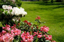 centre-abbe-pierre-emmaus esteville