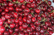 ecomusee-du-pays-de-la-cerise fougerolles