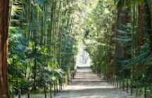 la-bambouseraie generargues