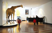 museum-d-histoire-naturelle grenoble