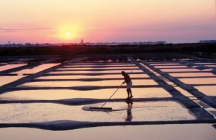 marais-salants-de-guerande guerande