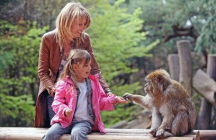 la-montagne-des-singes kintzheim