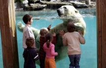 zoo-de-la-fleche la-fleche