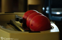 bowling-du-parc la-roche-sur-yon
