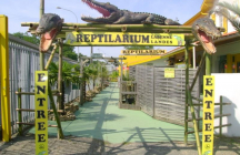 reptilarium labenne