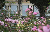 la-galerie-d-art-cravero le-pradet