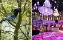 le-clair-de-lumes lumes