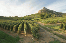 excursion-en-beaujolais lyon