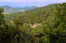 grotte-de-salamandre mejannes-le-clap