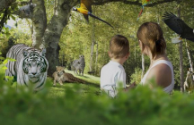 zoo-des-3-vallees montredon-labessonnie