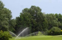 golf-golforange orange