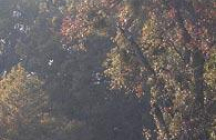 golf-manchette prevessin-moens