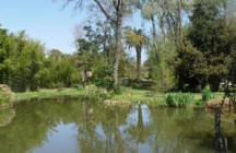parc-le-jardin-des-plantes-les-capellans saint-cyprien