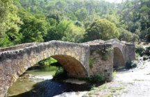 provence-premium-transport saint-maximin-la-sainte-baume