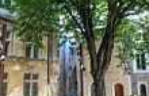 musee-des-alpilles saint-remy-de-provence