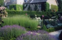 jardins-d-argences saussey