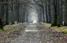 espace-rambouillet sonchamp