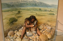 musee-de-prehistoire tautavel