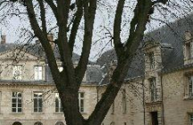 musee-d-art-moderne-de-troyes troyes