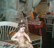 restaurant-le-cupidon avignon