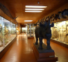 musee-africain-de-l-ile-d-aix ile-d-aix