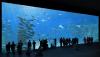 aquarium-nausicaa boulogne-sur-mer