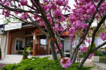hotel-des-grands-vins fleurie hotel-des-grands-vins fleurie