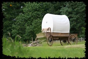 Chariot western 2 personnes Chariot western 2 personnes